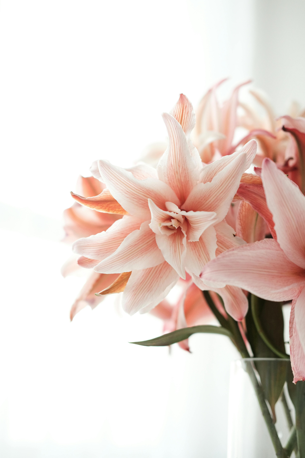 Spirituality Wellness
Feminine Spirituality