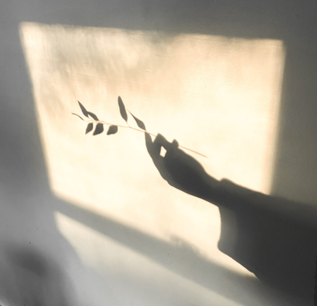 grounded feminine energy